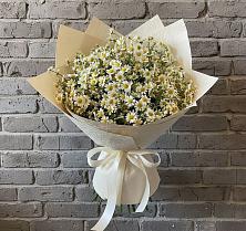 Букет цветов из:  Ромашки #REPLACE_PRED# Алтуде