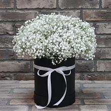 Цветочная композиция из Гипсофила в шляпной коробке #REPLACE_PRED# Алтуде