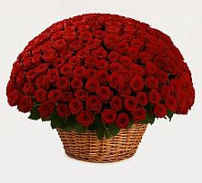 Премиум букет из: Розы в Алтуде